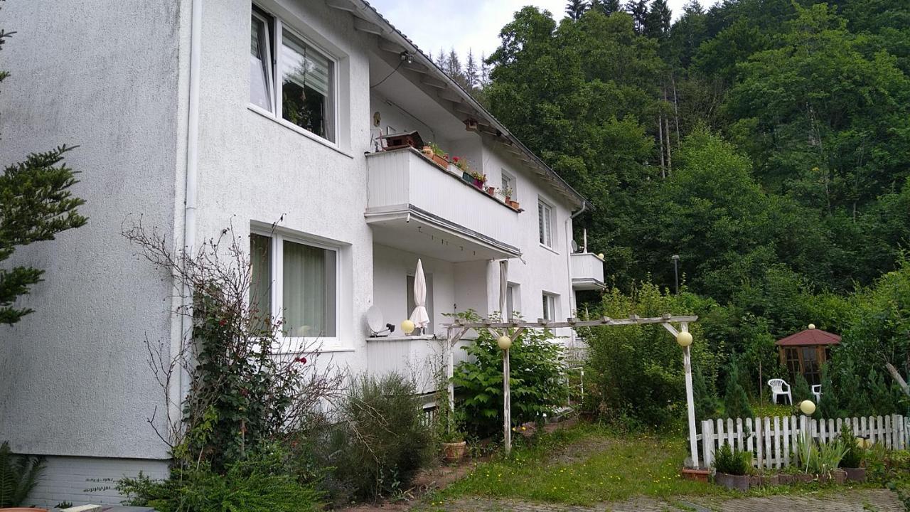 Apartamento Steinatal Bad Sachsa Exterior foto