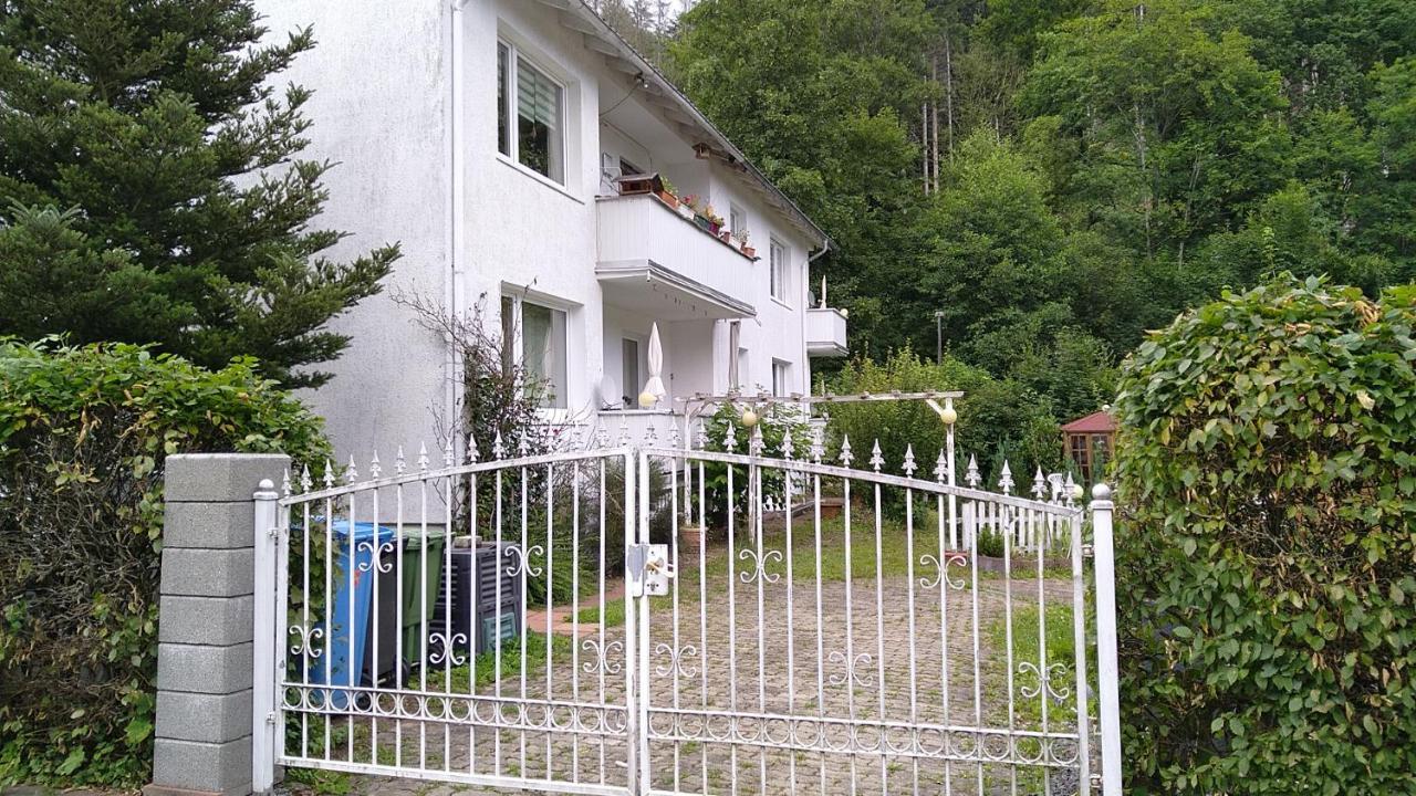 Apartamento Steinatal Bad Sachsa Exterior foto